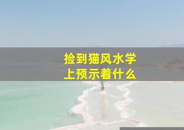 捡到猫风水学上预示着什么