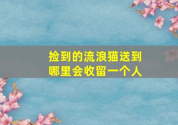 捡到的流浪猫送到哪里会收留一个人