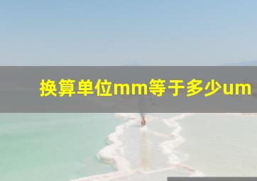 换算单位mm等于多少um