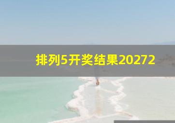 排列5开奖结果20272