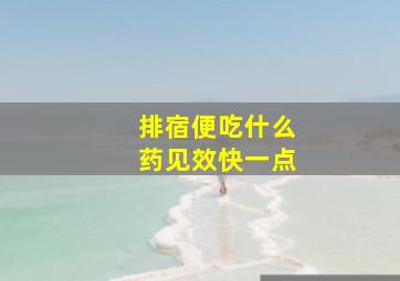 排宿便吃什么药见效快一点