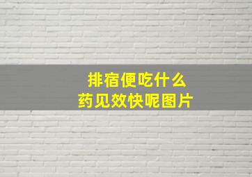 排宿便吃什么药见效快呢图片