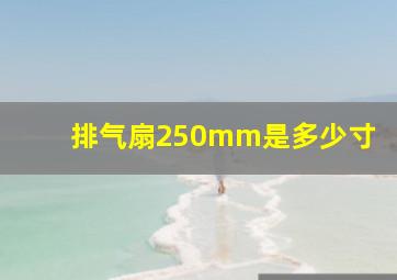 排气扇250mm是多少寸