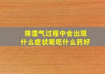 排湿气过程中会出现什么症状呢吃什么药好