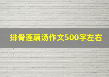 排骨莲藕汤作文500字左右