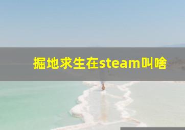 掘地求生在steam叫啥