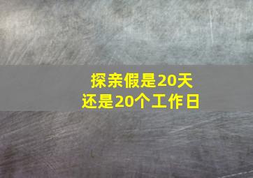 探亲假是20天还是20个工作日