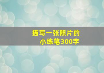 描写一张照片的小练笔300字