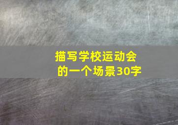 描写学校运动会的一个场景30字