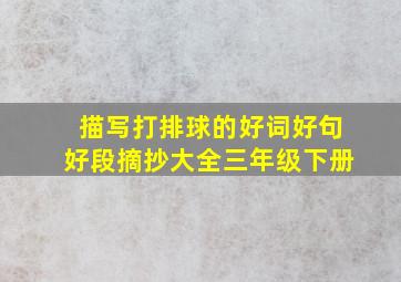 描写打排球的好词好句好段摘抄大全三年级下册