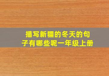描写新疆的冬天的句子有哪些呢一年级上册
