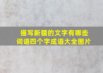 描写新疆的文字有哪些词语四个字成语大全图片