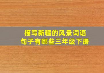 描写新疆的风景词语句子有哪些三年级下册