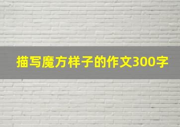 描写魔方样子的作文300字