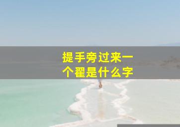 提手旁过来一个翟是什么字