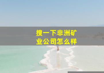 搜一下非洲矿业公司怎么样