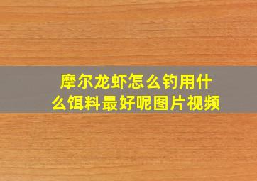 摩尔龙虾怎么钓用什么饵料最好呢图片视频