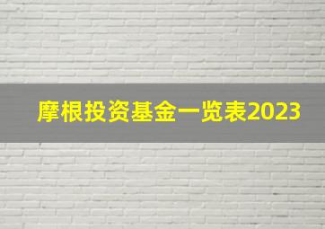 摩根投资基金一览表2023