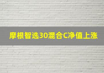 摩根智选30混合C净值上涨