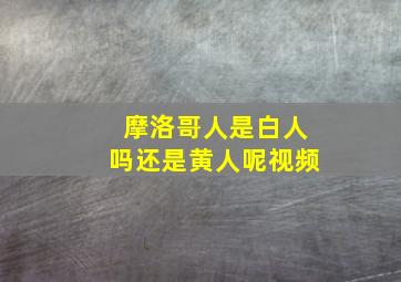 摩洛哥人是白人吗还是黄人呢视频