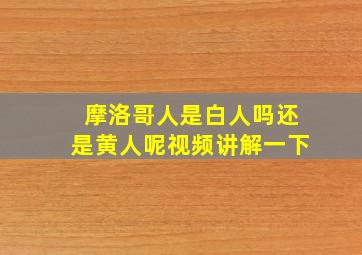 摩洛哥人是白人吗还是黄人呢视频讲解一下