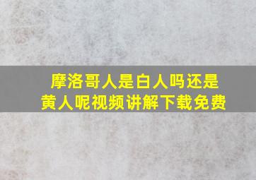 摩洛哥人是白人吗还是黄人呢视频讲解下载免费