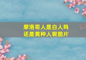 摩洛哥人是白人吗还是黄种人呢图片