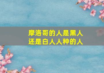 摩洛哥的人是黑人还是白人人种的人