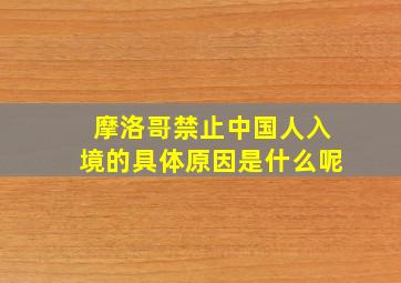 摩洛哥禁止中国人入境的具体原因是什么呢