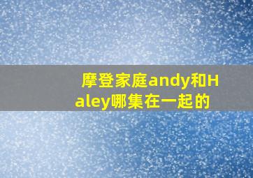 摩登家庭andy和Haley哪集在一起的