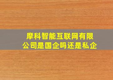 摩科智能互联网有限公司是国企吗还是私企