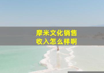 摩米文化销售收入怎么样啊