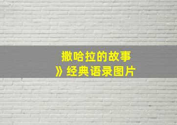 撒哈拉的故事》经典语录图片