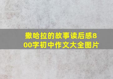 撒哈拉的故事读后感800字初中作文大全图片