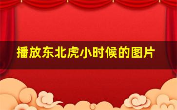 播放东北虎小时候的图片