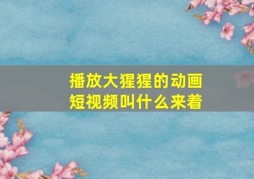 播放大猩猩的动画短视频叫什么来着