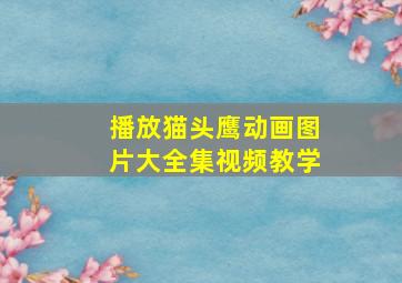 播放猫头鹰动画图片大全集视频教学