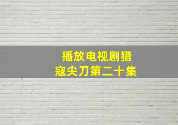 播放电视剧猎寇尖刀第二十集