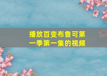 播放百变布鲁可第一季第一集的视频