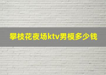 攀枝花夜场ktv男模多少钱