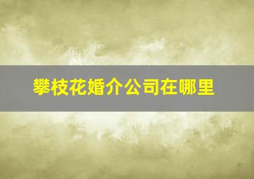 攀枝花婚介公司在哪里