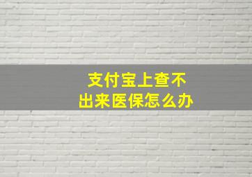 支付宝上查不出来医保怎么办