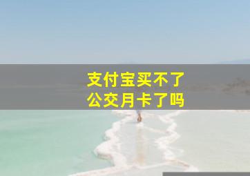 支付宝买不了公交月卡了吗