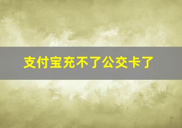 支付宝充不了公交卡了