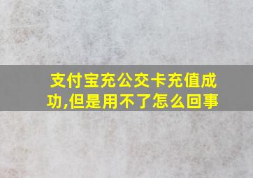 支付宝充公交卡充值成功,但是用不了怎么回事