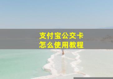 支付宝公交卡怎么使用教程