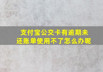 支付宝公交卡有逾期未还账单使用不了怎么办呢