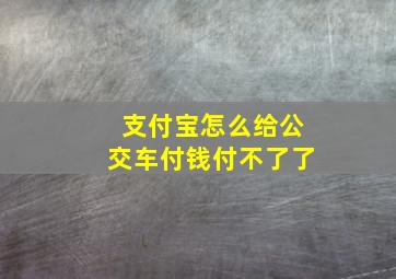 支付宝怎么给公交车付钱付不了了