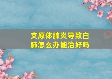 支原体肺炎导致白肺怎么办能治好吗