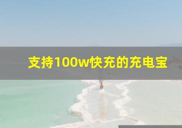 支持100w快充的充电宝